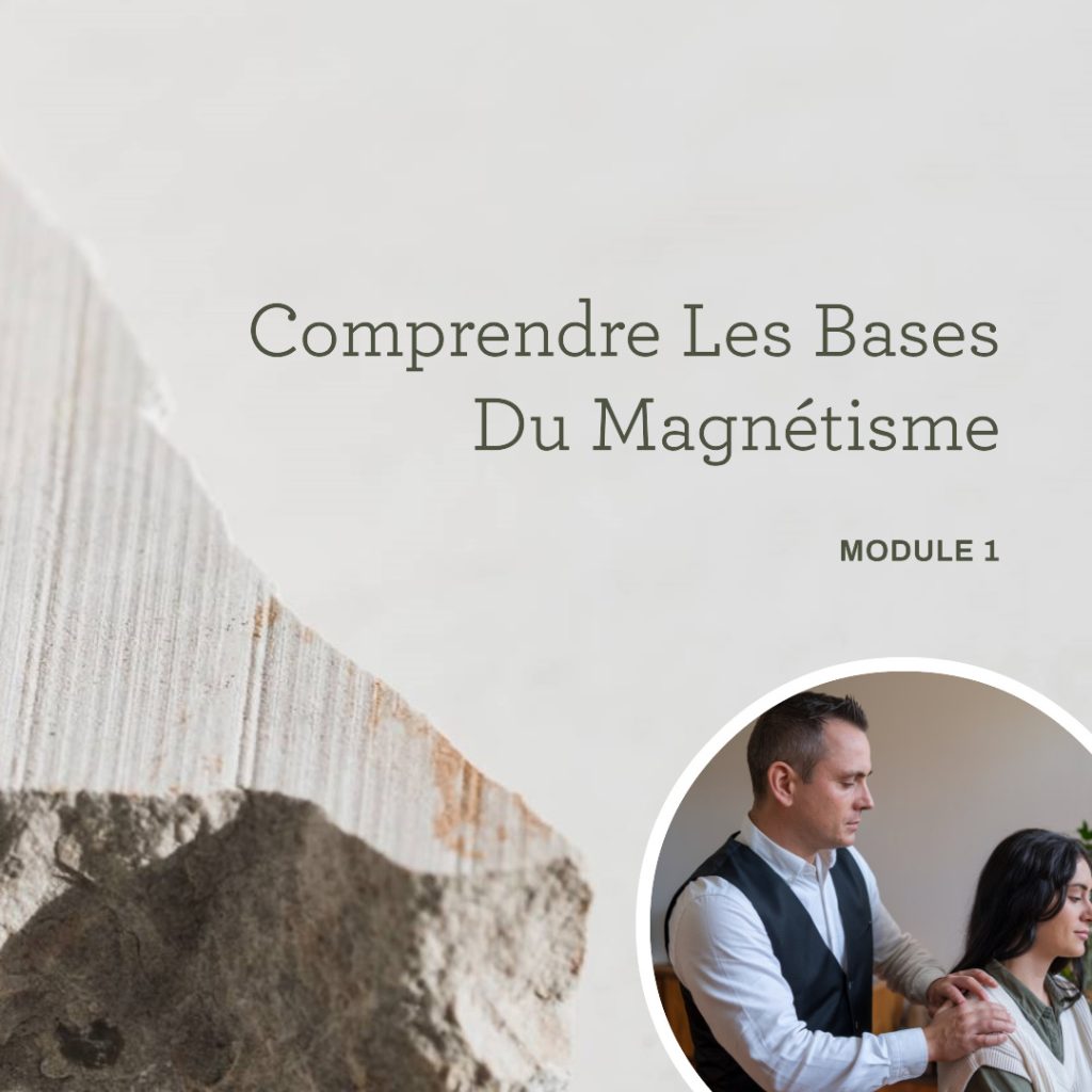 Module 1 : Comprendre les bases du magnétisme