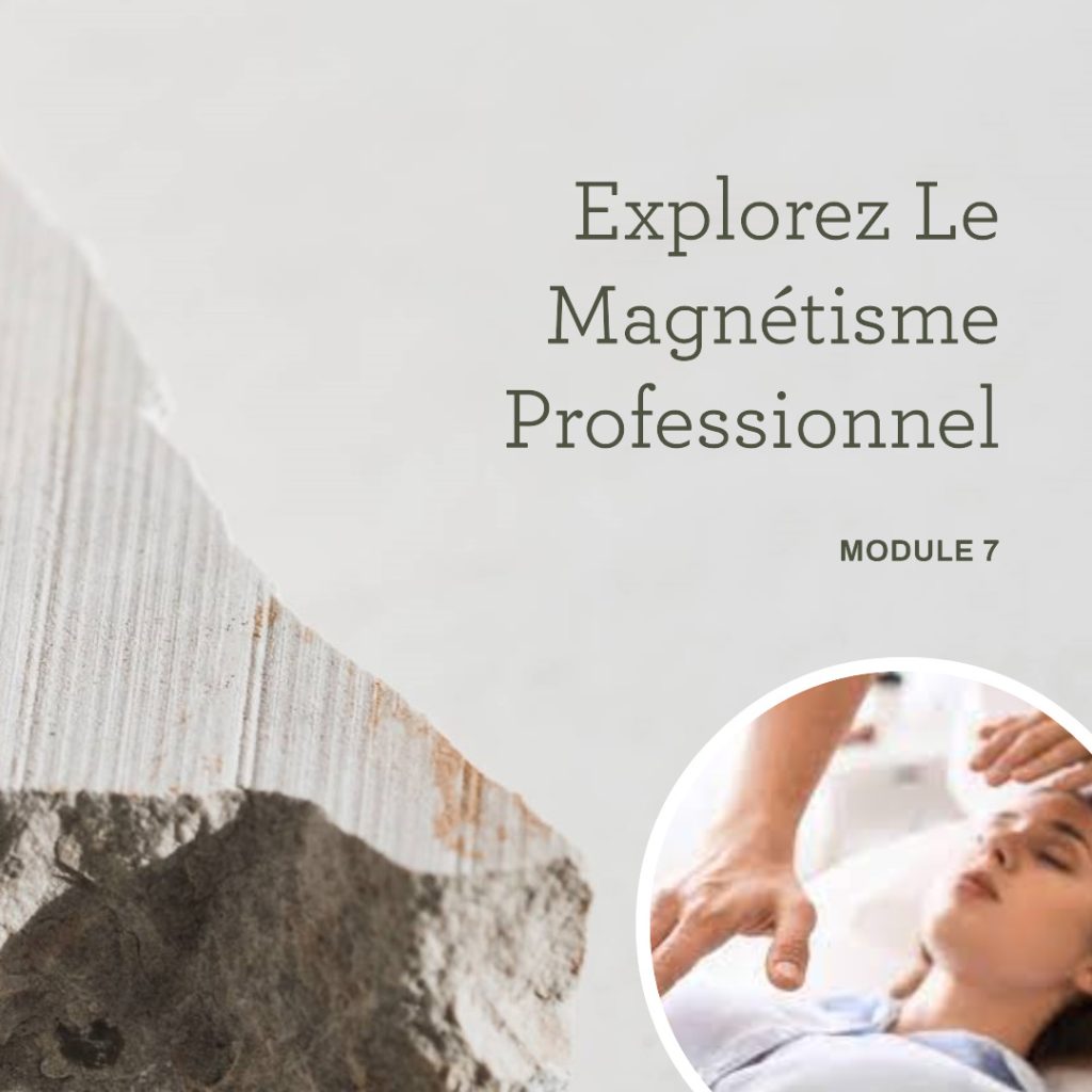 Explorez Le Magnétisme Professionnel